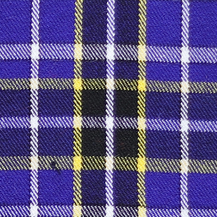 Modern Blue Tartan
