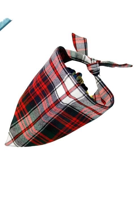 Tartan Dog Bandana
